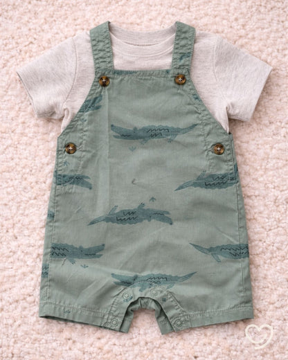 Set 2 piezas Carter's 6 Meses.