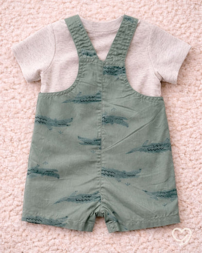 Set 2 piezas Carter's 6 Meses.