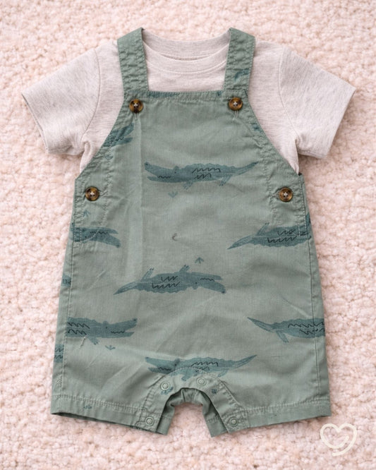 Set 2 piezas Carter's Overall +playerita,  6 y 12 Meses